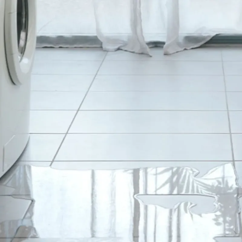 Appliance Leak Cleanup in Lecompte, LA