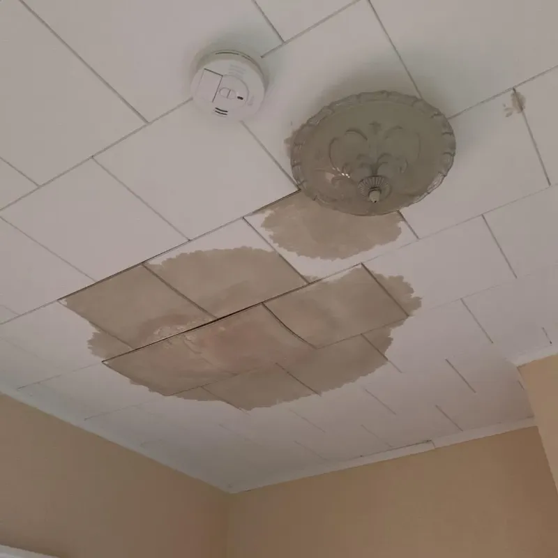 Ceiling Water Damage Repair in Lecompte, LA