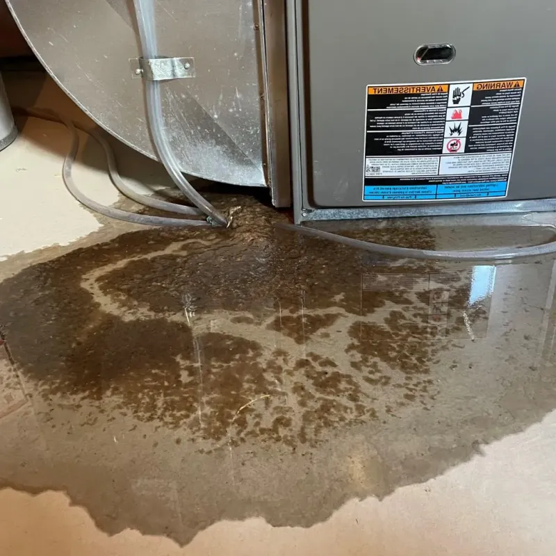 Pipe Burst and Leak Restoration in Lecompte, LA