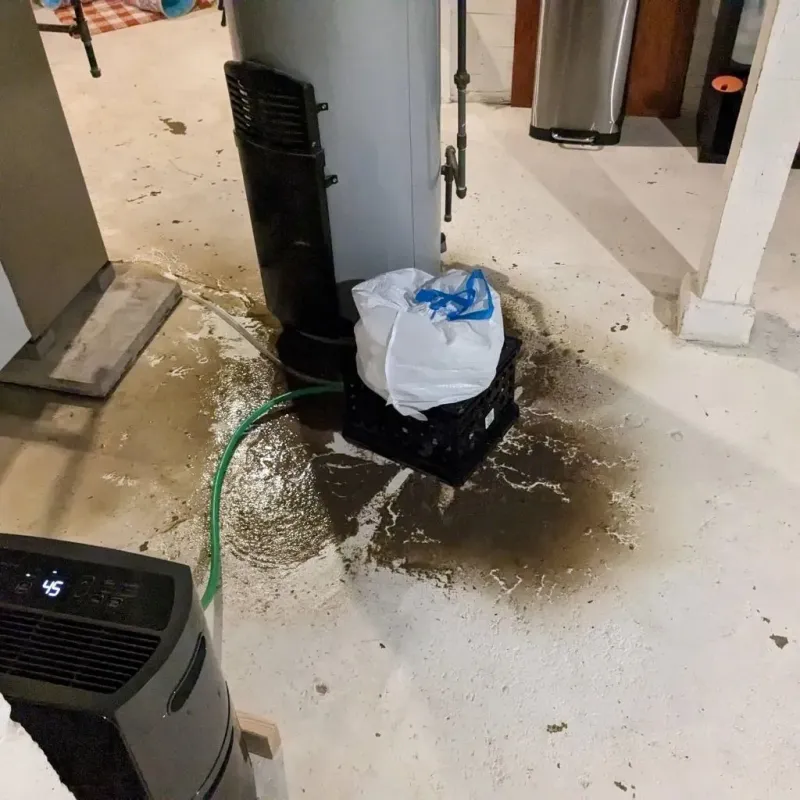Sewage Backup Cleanup Service in Lecompte, LA